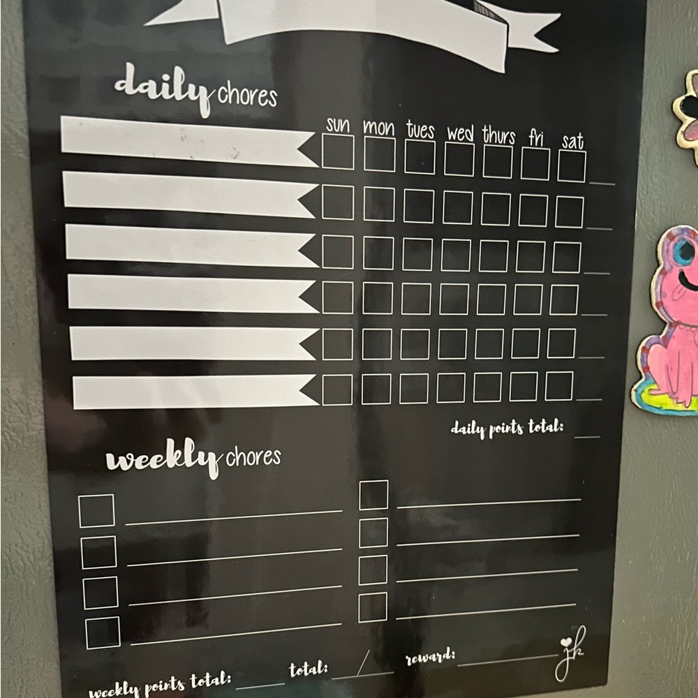 Daily and Weekly Chore Calendar (pack of 2). Excellent condition, Used once.